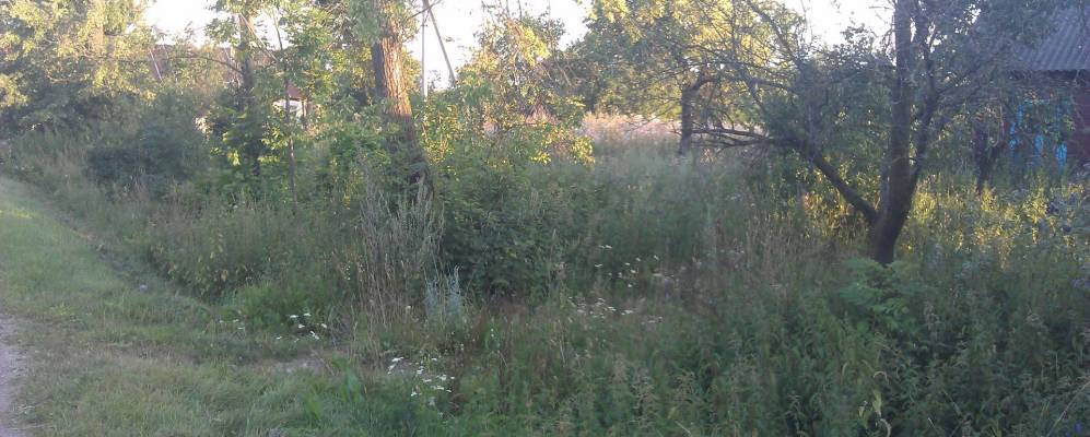 Фотография деревни Волковичи