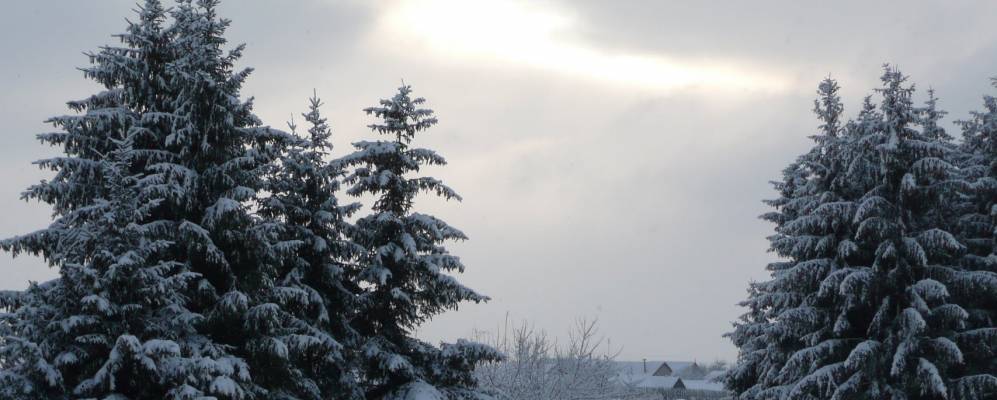 
            Фотография Даниловки