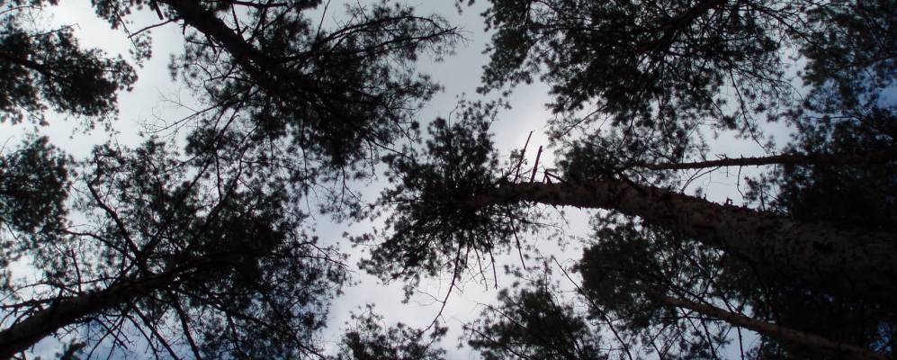 
            Фотография Грабиновки