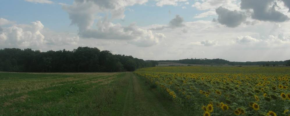 
            Фотография Нентреа