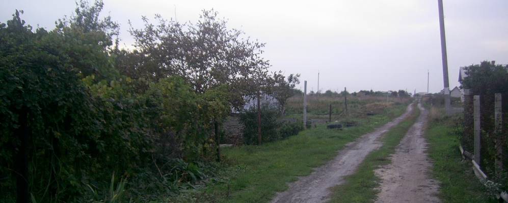 
            Фотография Придорожного