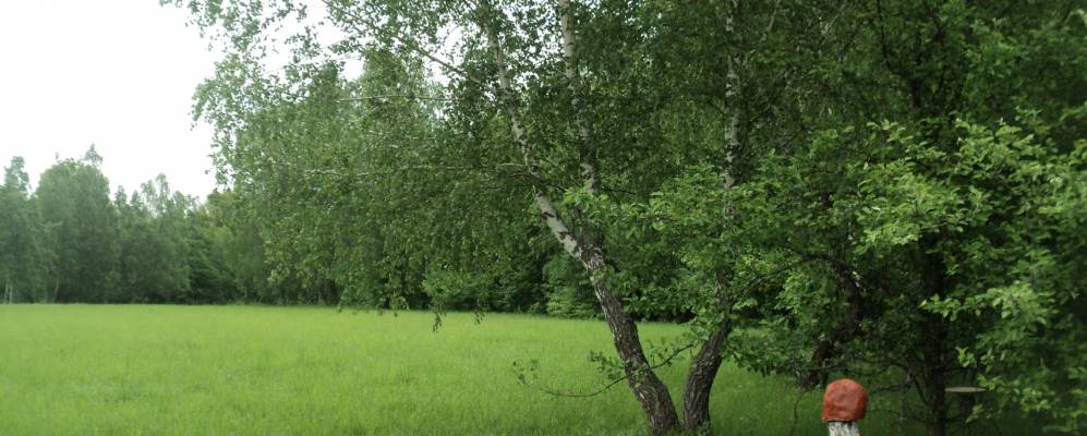 
            Фотография Бартеневского