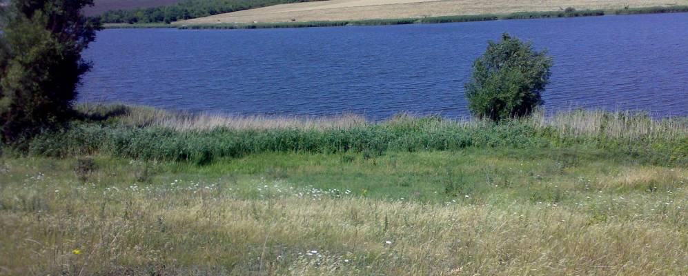 
            Фотография Кричуново