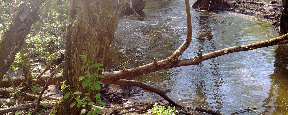 
            Фотография Репьевки