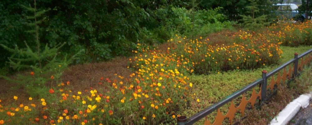 
            Фотография Ачликуля