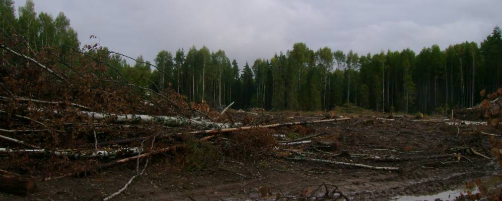 
            Фотография Поползухи