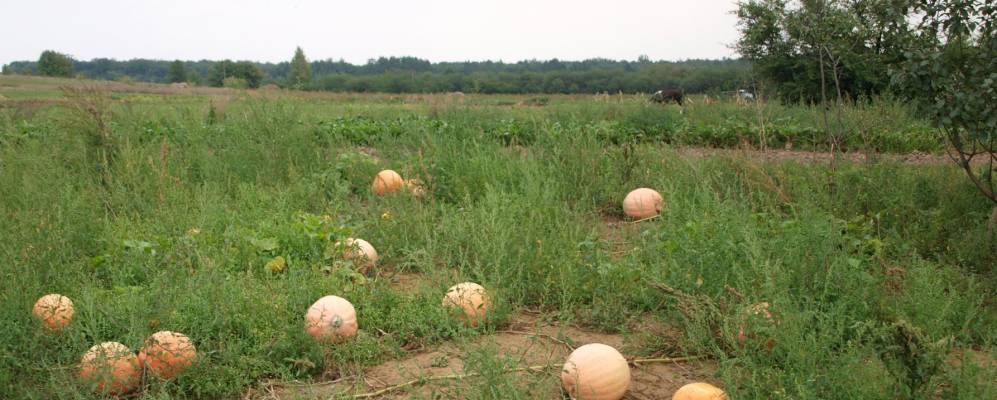 Фотография Строкова