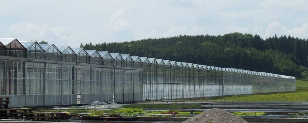 
            Фотография Беркхайма