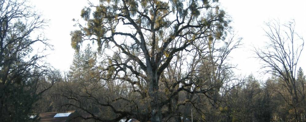 
            Фотография ВистаПерспективы