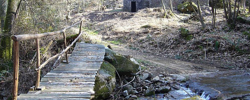 
            Фотография Пиньоне