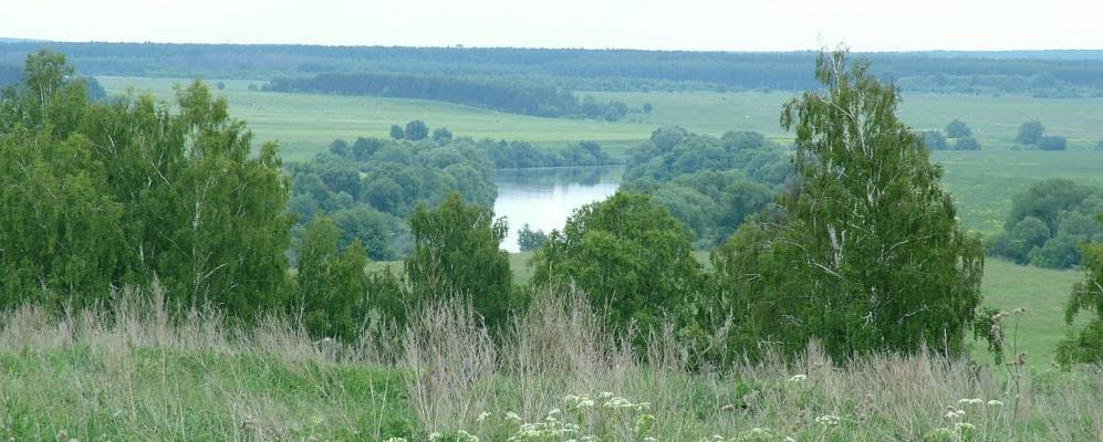 
            Фотография Андроново