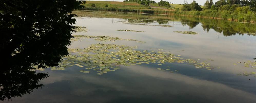 Фотография Зоринцы