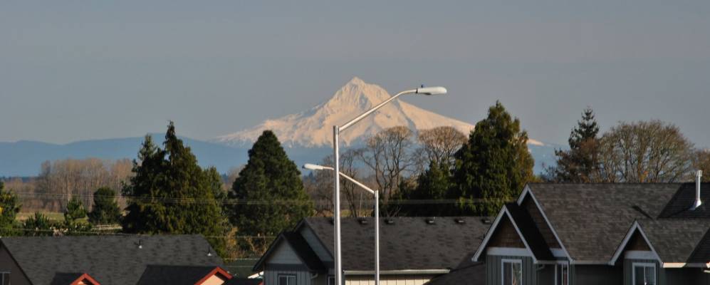 
            Фотография Скаппуза