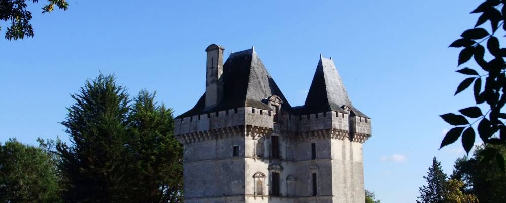 
            Фотография Мата