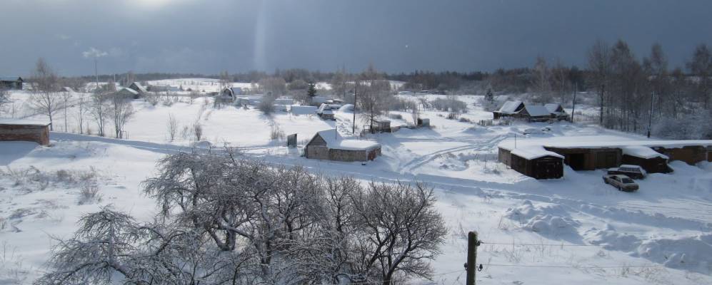 
            Фотография Харинки