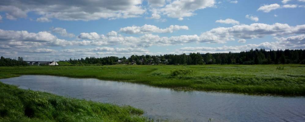 
            Фотография Ситенки