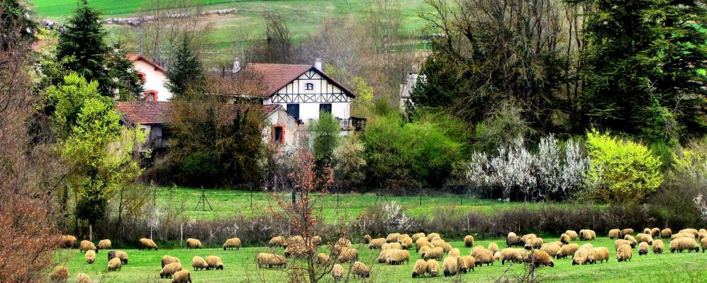 
            Фотография Арайы