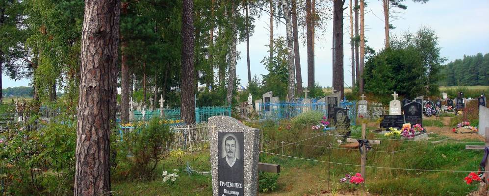 
            Фотография Гороховья