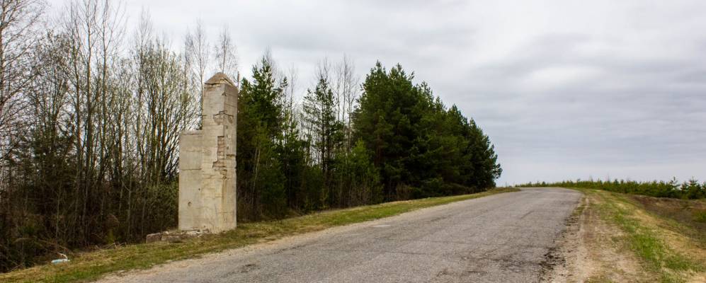 
            Фотография Поломы