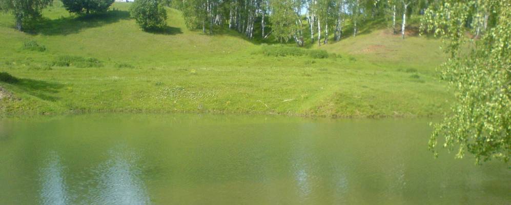 
            Фотография Шекмино Третьего