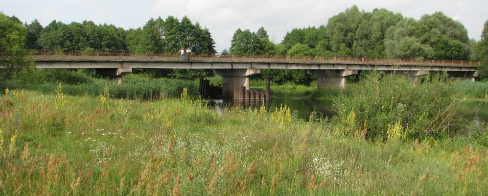 
            Фотография Набережного