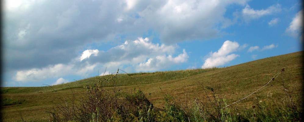 
            Фотография Фелеага