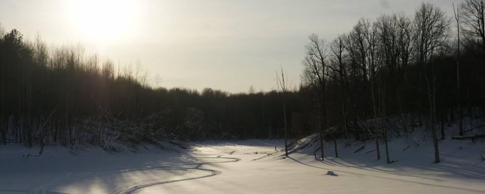 
            Фотография Никольского