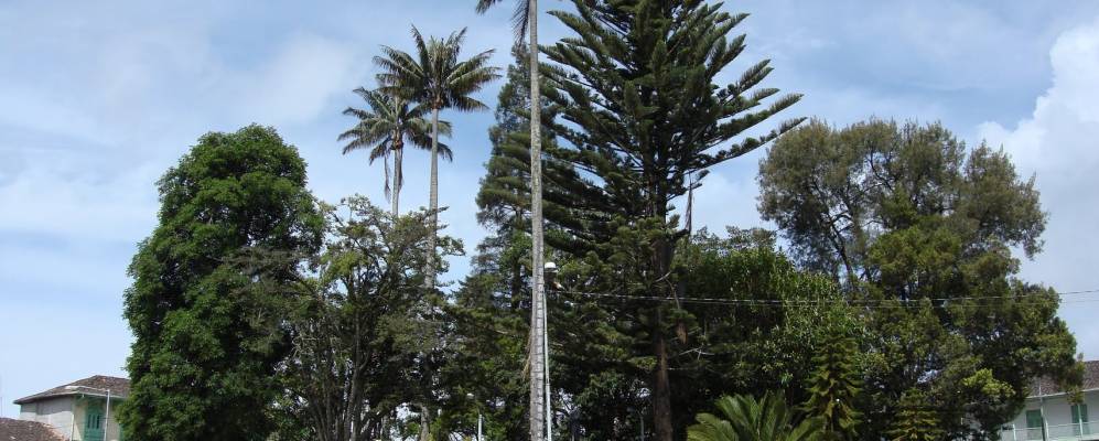 
            Фотография Сонсона