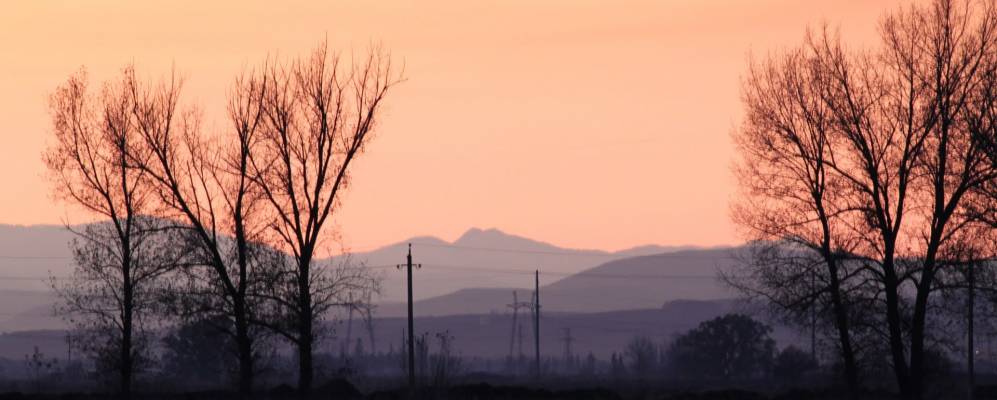 
            Фотография Мовы