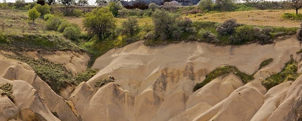 
            Фотография Нешера