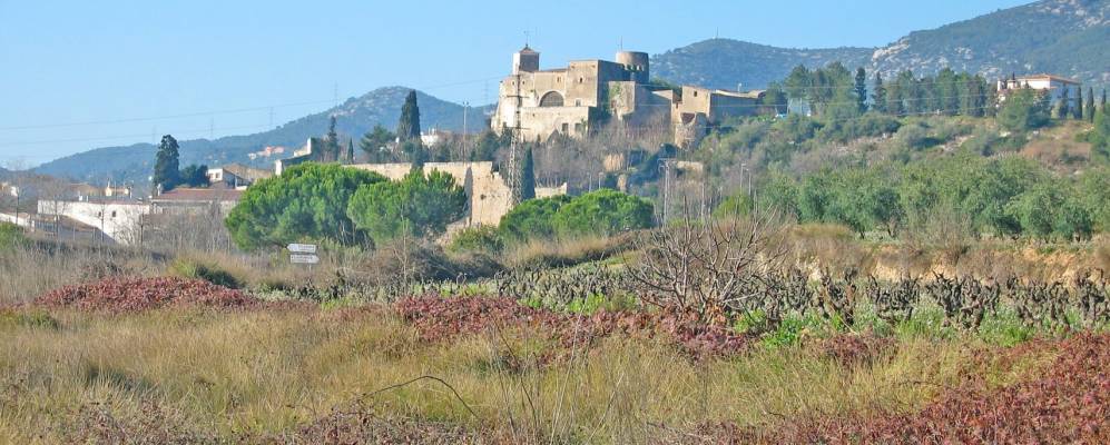 Фотография Каньельеса