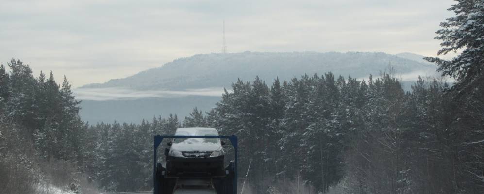 
            Фотография Шарлаша