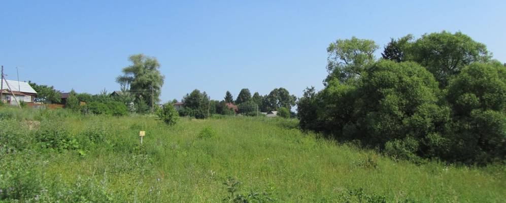 Фотография Бобровников