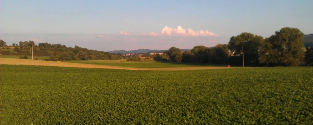 
            Фотография Дикхольцена