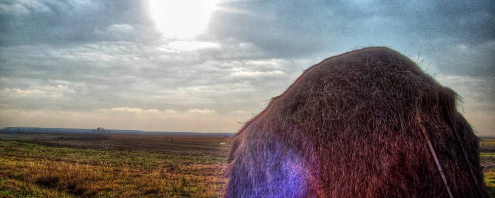 
            Фотография Яблонного