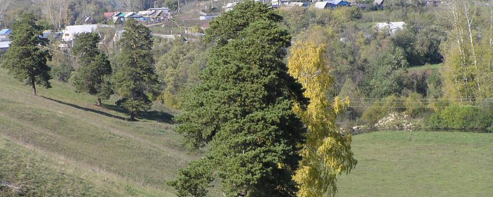 
            Фотография Сугушлы