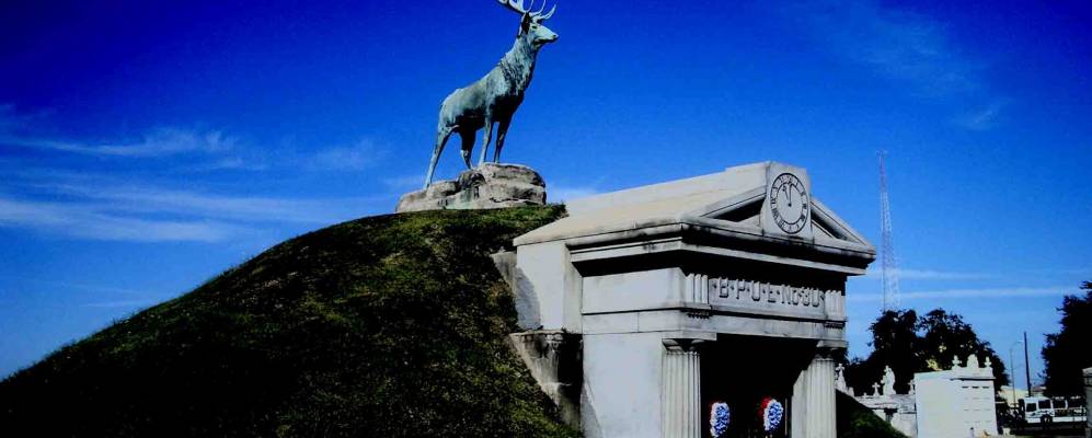 
            Фотография Метэри Террайса