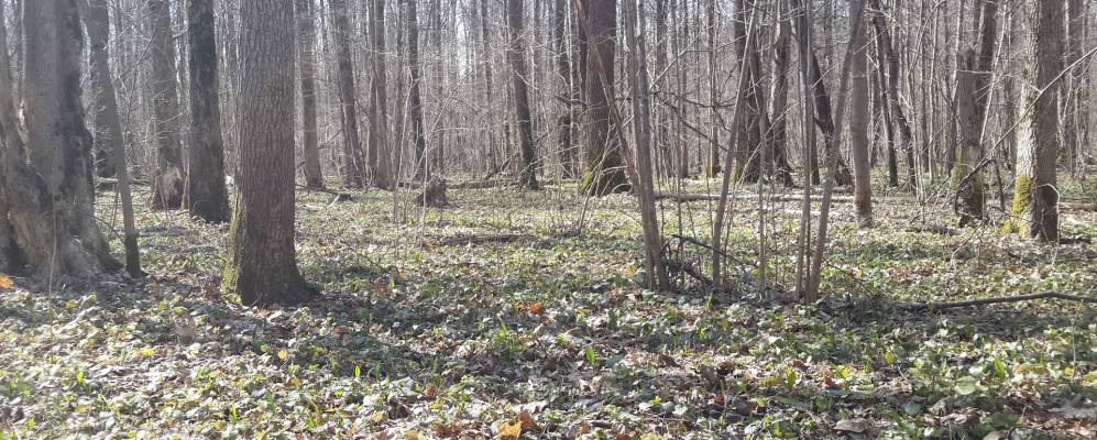 
            Фотография Кузьменок