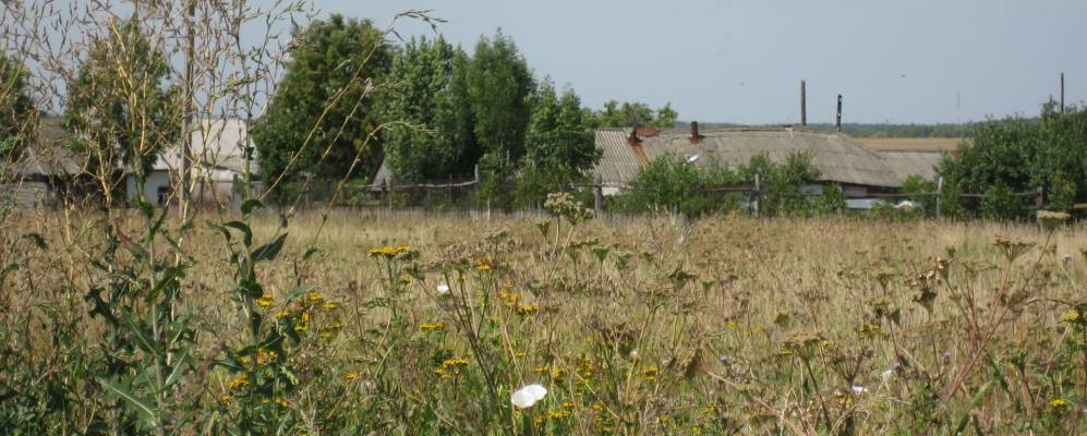 
            Фотография Кузьмино-Доможирово