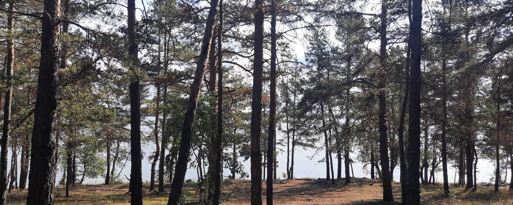 
            Фотография Лобаново