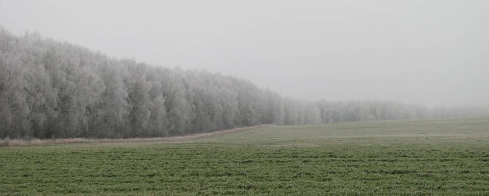 Фотография Пасыкино