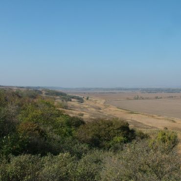 Первокубанский