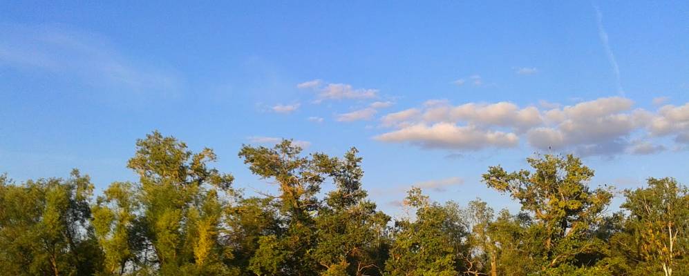 
            Фотография Старого Татарского Адама