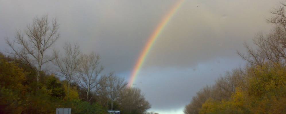 
            Фотография Гордого