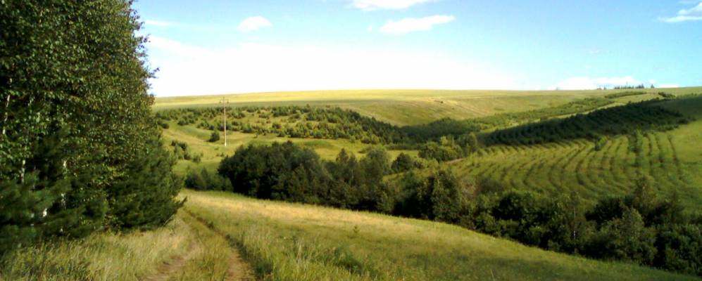 
            Фотография Сосновки