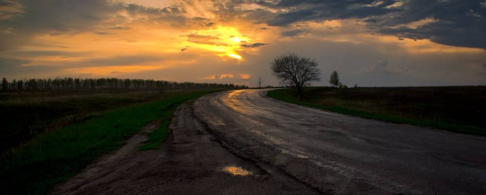  Фотография Репного