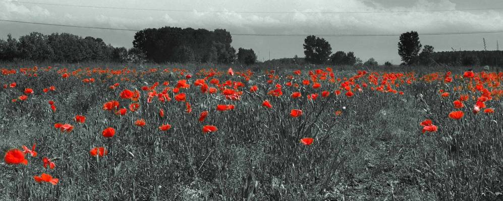 
            Фотография Ицано