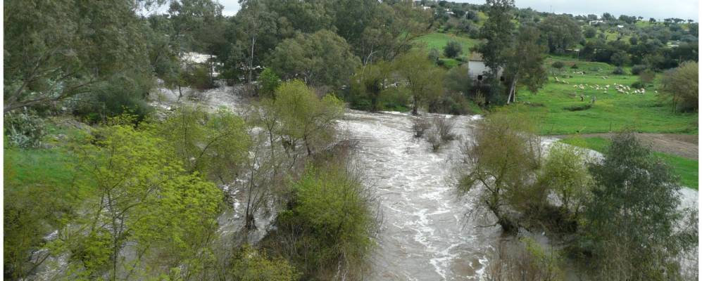 
            Фотография Торрана