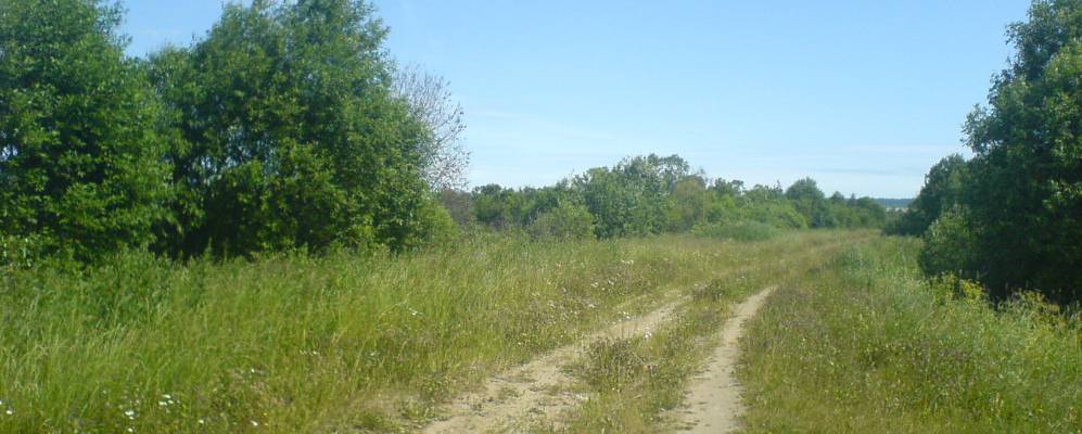 
            Фотография Верхнего Понизовья