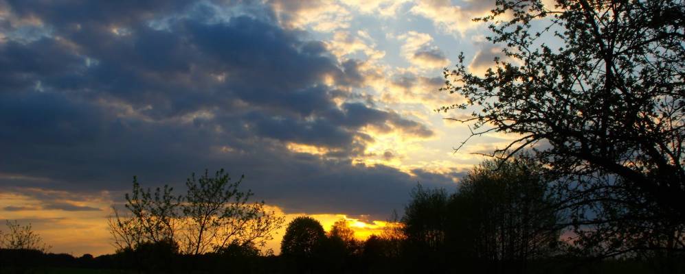 
            Фотография Степково